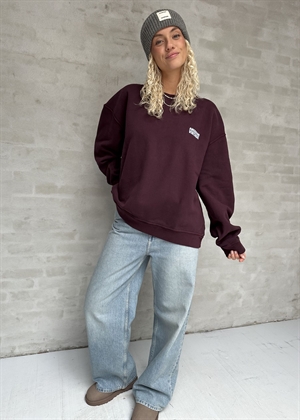 Plizzy oversize sweatshirt Mahogany American Vintage 